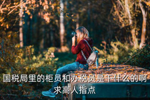 國稅局導稅員干什么的，國稅局里的柜員和辦稅員是干什么的啊求高人指點