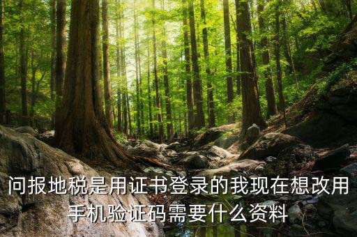 湖南地稅什么叫證書登陸，地稅數(shù)字證書是什么