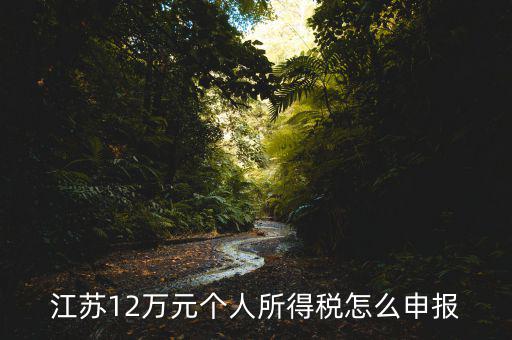 江蘇12萬元個人所得稅怎么申報(bào)