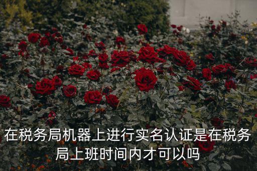 在稅務局機器上進行實名認證是在稅務局上班時間內(nèi)才可以嗎
