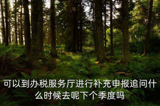 據(jù)實申報是按照什么申報，可以到辦稅服務廳進行補充申報追問什么時候去呢下個季度嗎