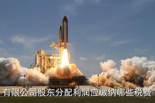 公司股東需要交什么稅，有限公司股東分配利潤應(yīng)繳納哪些稅費