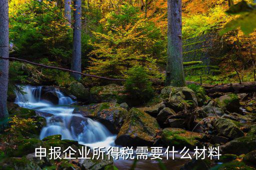 企業(yè)所得稅補(bǔ)申報(bào)需要什么，申報(bào)企業(yè)所得稅需要什么材料