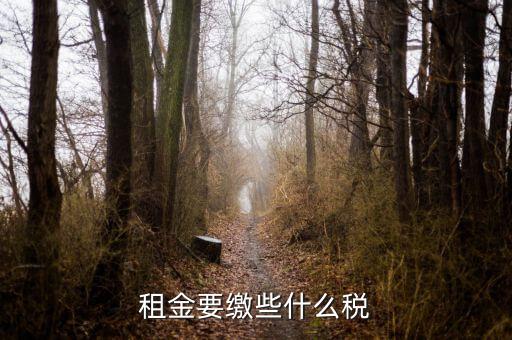 承租者租金交什么稅，租金要繳些什么稅