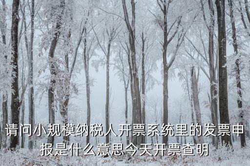 開票申報是什么原因，納稅申報出現(xiàn)的問題高手來解
