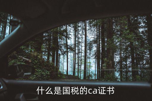 ca稅務數(shù)字證書是什么，什么是國稅的ca證書