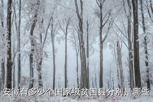 壽縣稅務(wù)局在什么地方，壽縣在什么地方