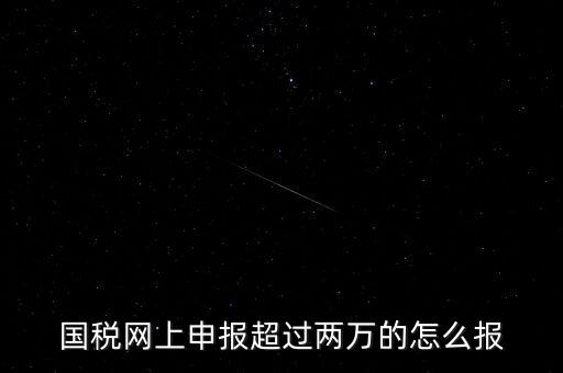 國(guó)稅網(wǎng)報(bào)入口是什么，怎樣才能進(jìn)入小規(guī)模納稅人增值稅網(wǎng)上申報(bào)系統(tǒng)