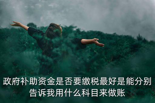 政府補貼交什么稅，關于政府補助的納稅問題 請高手來回答啊 謝謝