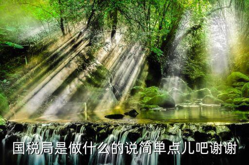 什么是國際稅務(wù)局，國際稅務(wù)是什么