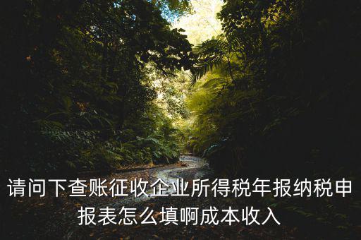 企業(yè)所得稅申報(bào)查賬是什么表，剛注冊(cè)了一個(gè)小規(guī)模的公司企業(yè)所得稅是查帳征收企業(yè)所得稅報(bào)表
