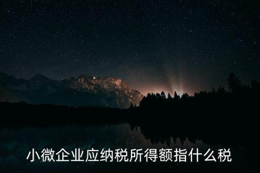 小微企業(yè)繳納什么稅，小型微利企業(yè)有什么稅要交
