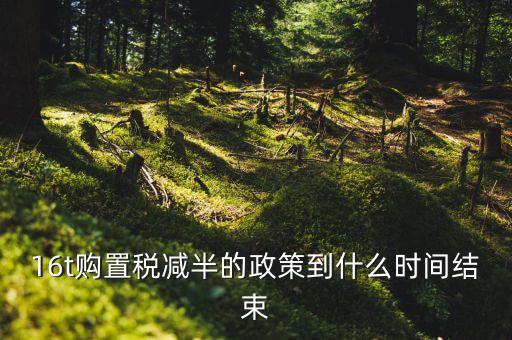 16t購(gòu)置稅減半的政策到什么時(shí)間結(jié)束