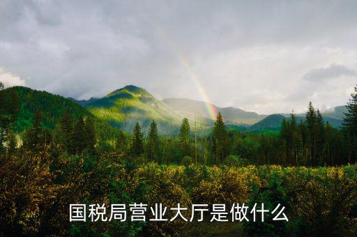 國稅局大廳工作是什么，國稅大廳咨詢?nèi)藛T具體是做什么工作的