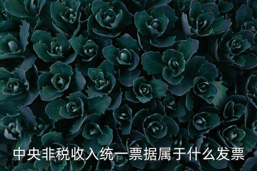 非稅發(fā)票是什么，中央非稅收入統(tǒng)一票據(jù)屬于什么發(fā)票