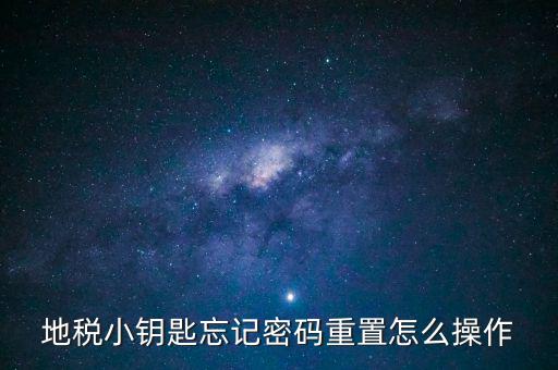 地稅密碼重置需要什么，地稅網(wǎng)上納稅申報(bào)密碼忘記了