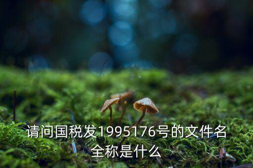 國(guó)稅初始化文件是什么字頭，稅務(wù)申報(bào)材料初始化是什么意思