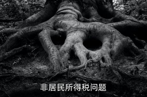 有什么是非居民企業(yè)，個私企業(yè)的范圍除了個體戶還包括哪些性質(zhì)的企業(yè)