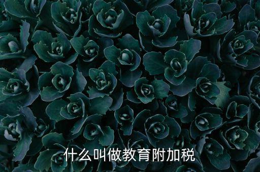 教育附加什么意思，教育費(fèi)附加代表什么意思