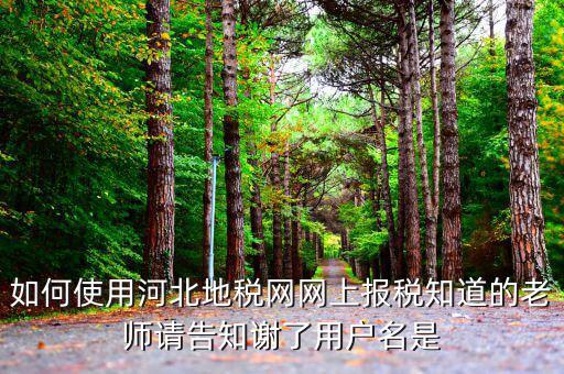 河北省地稅登陸的用戶名是什么意思，在網(wǎng)上報稅登陸時用戶名是什么