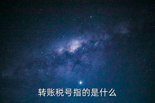 轉賬稅號指的是什么