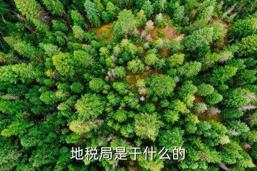 地稅主要負(fù)責(zé)什么工作總結(jié)，地稅局一般做什么工作啊