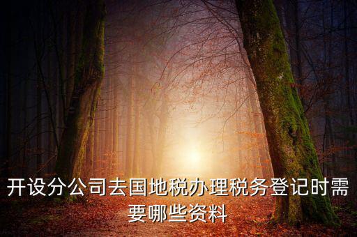 分公司地稅辦理需要什么材料，辦理分公司的稅務(wù)登記證需要準(zhǔn)備哪些資料