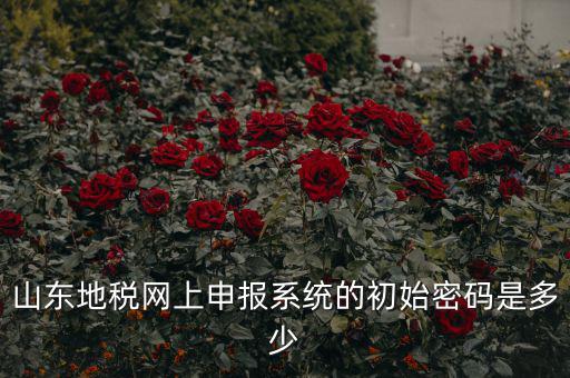 山東地稅網(wǎng)上申報系統(tǒng)的初始密碼是多少