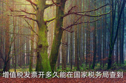 稅局什么時(shí)候查發(fā)票，增值稅發(fā)票開多久能在國家稅務(wù)局查到