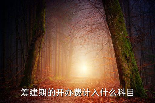 公司籌建期的費(fèi)用計(jì)入什么科目，籌建期的開辦費(fèi)計(jì)入什么科目