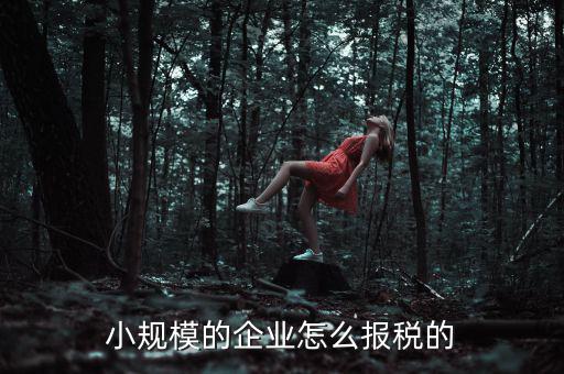 小規(guī)模納稅人如何申報(bào)，小規(guī)模增值稅申報(bào)流程
