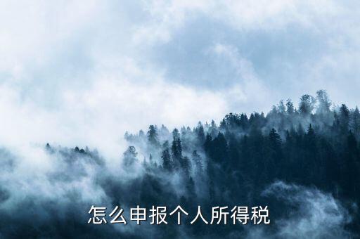 如何申報(bào)個(gè)人所得稅，怎么申報(bào)個(gè)人所得稅