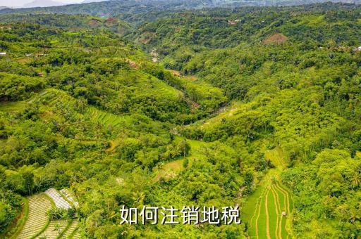 如何注銷地稅，如何注銷地稅