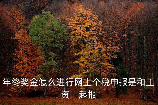 年終獎(jiǎng)個(gè)稅如何申報(bào)，年終獎(jiǎng)怎樣申報(bào)個(gè)稅