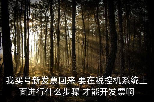 稅控系統(tǒng)如何開(kāi)票，我買(mǎi)號(hào)新發(fā)票回來(lái) 要在稅控機(jī)系統(tǒng)上面進(jìn)行什么步驟 才能開(kāi)發(fā)票啊