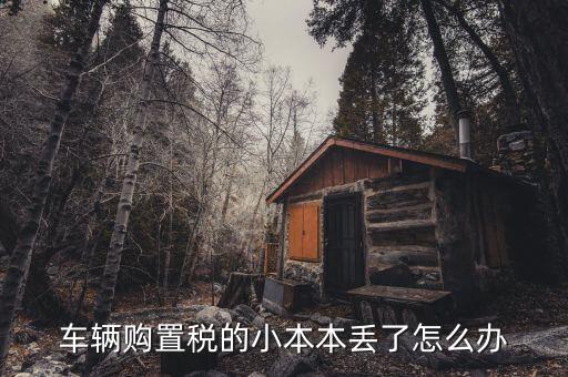 購置稅本丟失如何補(bǔ)辦，車輛購置稅完稅證明本丟了怎么補(bǔ)辦