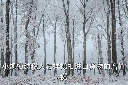 小規(guī)模如何抵扣進項，小規(guī)模增值稅怎么抵扣
