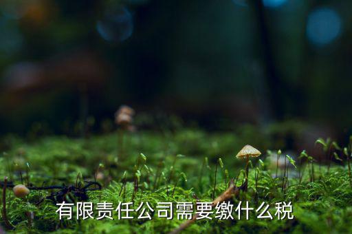 有限責(zé)任公司需要繳什么稅