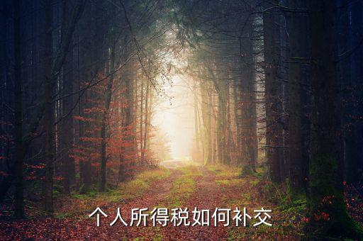 個(gè)稅如何補(bǔ)繳，個(gè)人所得稅如何補(bǔ)交