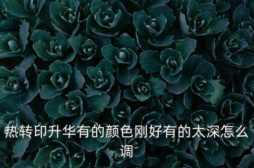 熱轉印升華有的顏色剛好有的太深怎么調