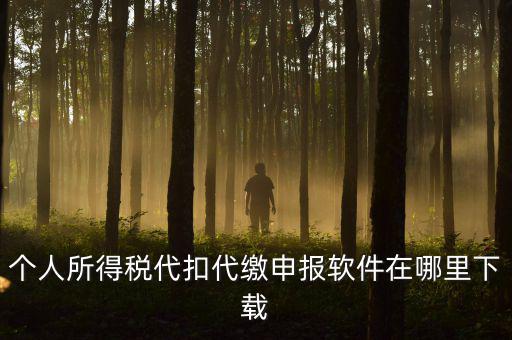 代扣代繳國(guó)稅如何申報(bào)系統(tǒng)下載，國(guó)稅增值稅小規(guī)模稅務(wù)電子申報(bào)軟件在哪里下載呢