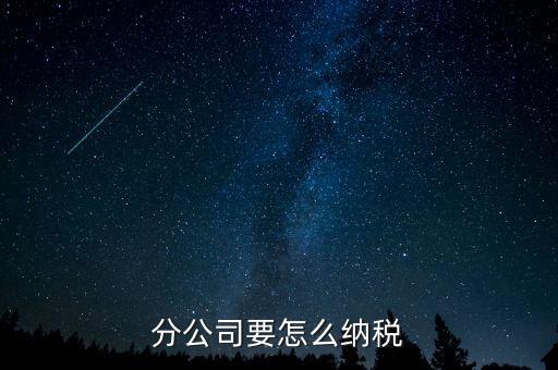 分支機(jī)構(gòu)如何納稅，分支機(jī)構(gòu)增值稅怎樣繳納