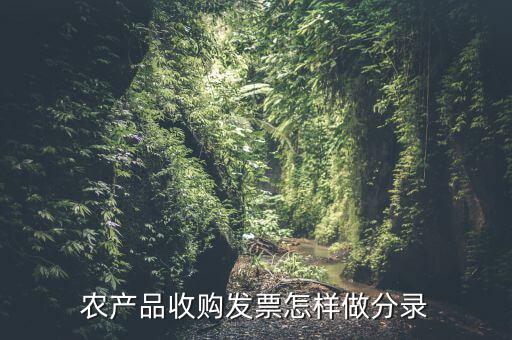 農產(chǎn)品收購發(fā)票怎樣做分錄
