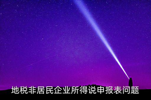 扣繳非居民所得稅報告表指什么，扣繳個人所得稅報告表30
