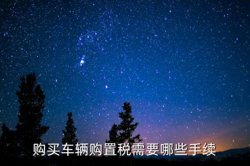 購(gòu)買(mǎi)車(chē)輛購(gòu)置稅需要哪些手續(xù)