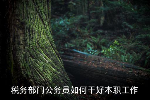 稅務部門公務員如何干好本職工作