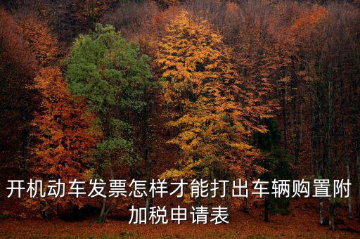 開機(jī)動(dòng)車發(fā)票怎樣才能打出車輛購置附加稅申請表