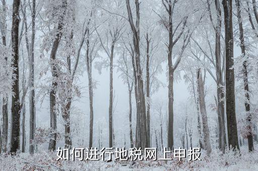 地稅如何進(jìn)行網(wǎng)上申報(bào)，如何進(jìn)行地稅網(wǎng)上申報(bào)