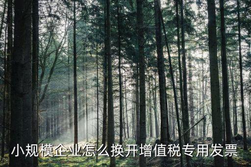 小規(guī)模企業(yè)怎么換開(kāi)增值稅專用發(fā)票