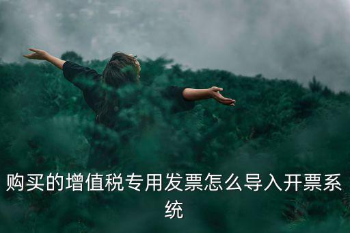 購(gòu)買(mǎi)的增值稅專用發(fā)票怎么導(dǎo)入開(kāi)票系統(tǒng)